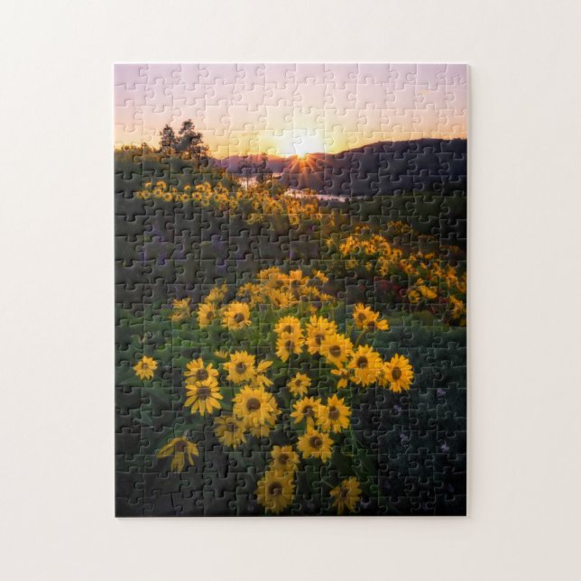 Yellow Hardy Sunflower Best Sunflower Fotos (Vertikal)