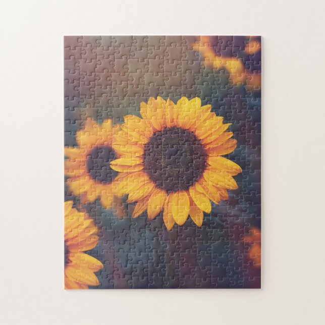 Yellow Hardy Sunflower Best Sunflower Fotos (Vertikal)