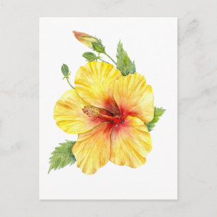 Yellow Hibiscus Botanical Postkarte