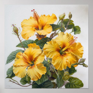 Yellow Hibiskus Blume Art Print Poster