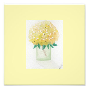 Yellow Hydrangea Fotodruck