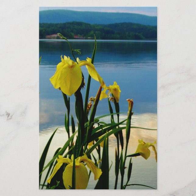 Yellow Iris am Lake Shore (Vorderseite)