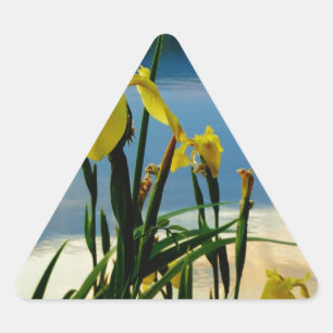 Yellow Iris am Lake Shore Dreieckiger Aufkleber