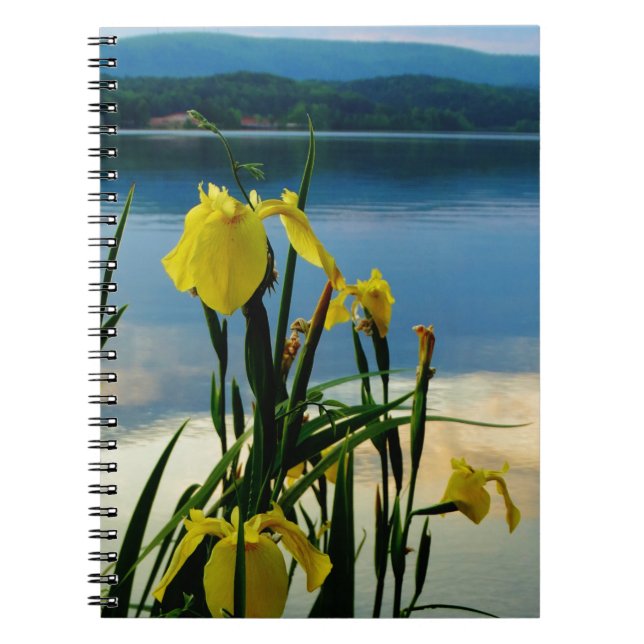 Yellow Iris am Lake Shore Notizblock (Vorderseite)