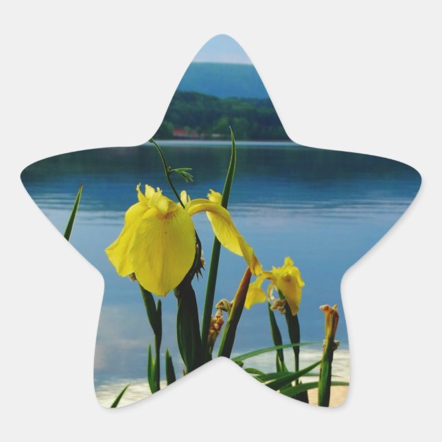 Yellow Iris am Lake Shore Stern-Aufkleber (Vorderseite)