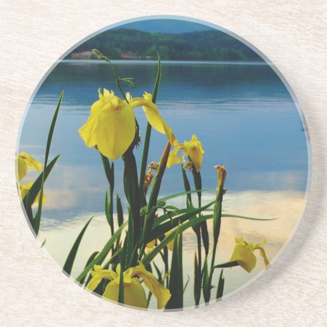 Yellow Iris am Lake Shore Untersetzer (Vorne)