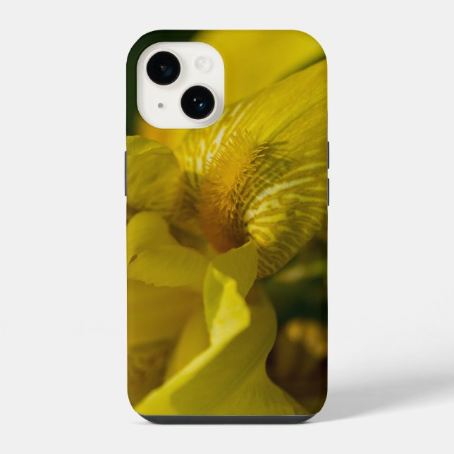 Yellow Iris Beard iPhone Case 14 Hülle (Rückseite)
