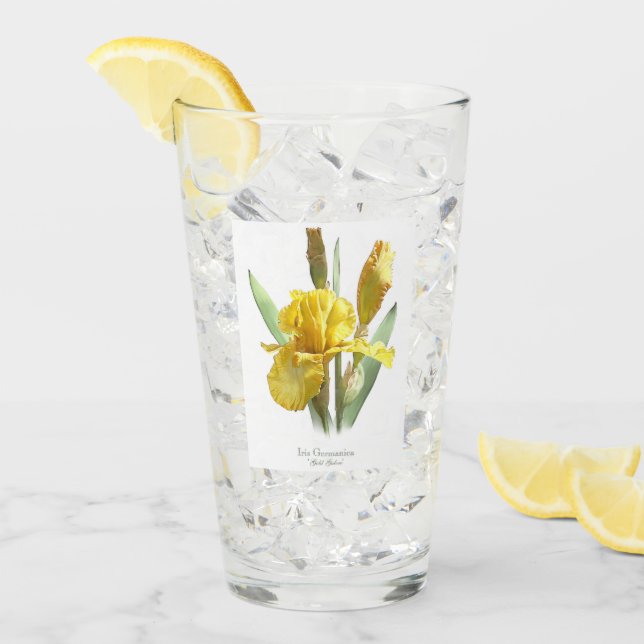 Yellow Iris Blume Botanische Kunst Glas (Vorderseite Ice)
