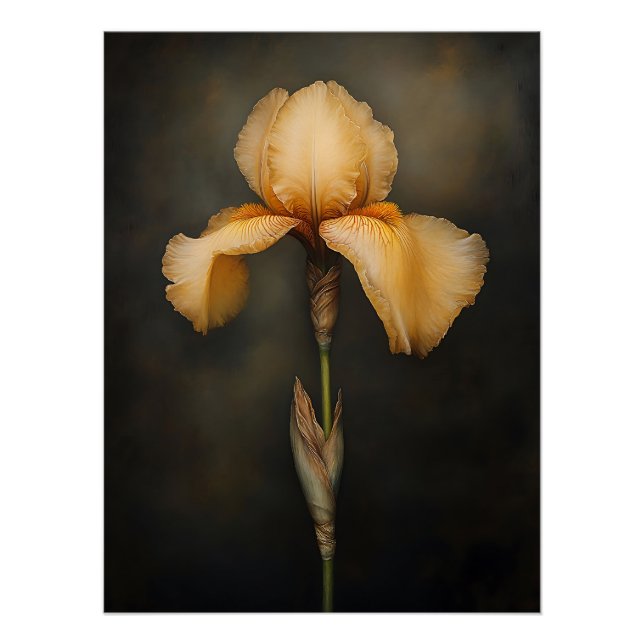 Yellow Iris Botanische Malerei Poster (Vorderseite)