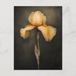 Yellow Iris Botanische Malerei Postkarte