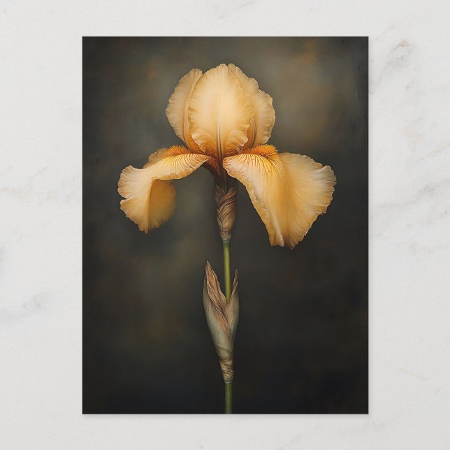 Yellow Iris Botanische Malerei Postkarte (Vorderseite)