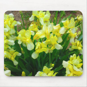Yellow Iris Patch Blume MousePad