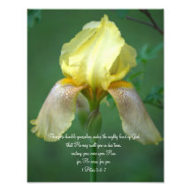 Yellow Iris Scripte Fotografieren