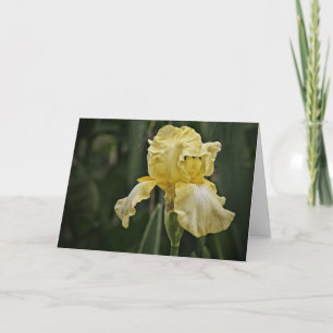Yellow Iris Sunshine Scripture Numéro de carte 6:2