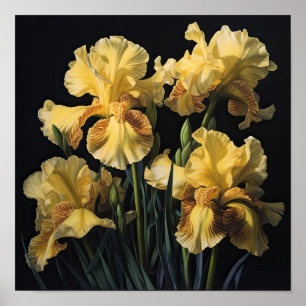 Yellow Irische Blume Art Print Poster