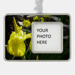 Yellow Irises Bright Spring Floral Rahmen-Ornament Silber