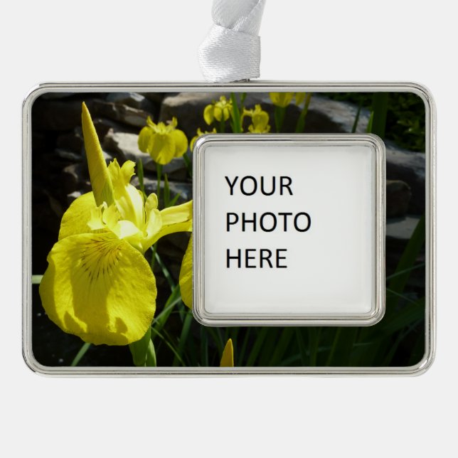 Yellow Irises Bright Spring Floral Rahmen-Ornament Silber (Vorderseite)
