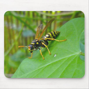 Yellow Jacket Mousepad