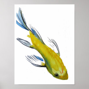 Yellow Japanese Koi Wassercolor Poster