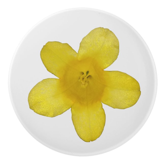Yellow Jasmine Keramikknauf (Vorderseite)