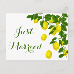 Yellow Just Married Lemon Green Wedrus Citrus Ankündigungspostkarte
