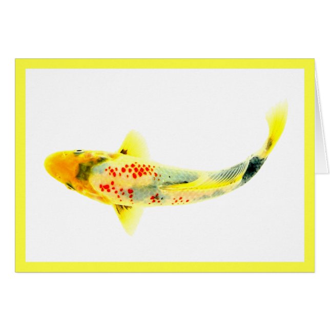 Yellow Koi (Vorderseite (Horizontal))