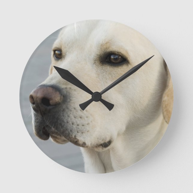 Yellow Lab Clock Runde Wanduhr (Vorderseite)