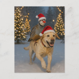 Yellow Labrador and Partridge Christmas postcard Postkarte