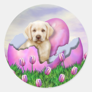 Yellow Labrador Osterüberraschung Runder Aufkleber