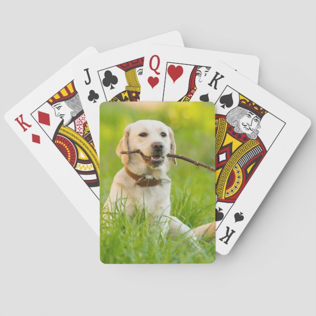 Yellow Labrador Plays mit Stick Spielkarten (Rückseite)