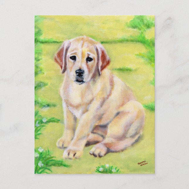 Yellow Labrador Puppy Postkarte (Vorderseite)