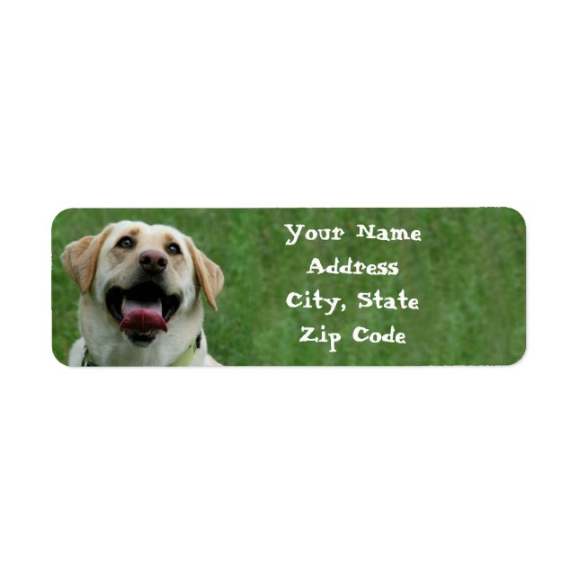 Yellow Labrador Retriever Address Labels (Vorne)