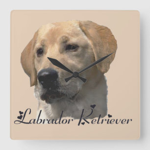 Yellow Labrador Retriever Art Gifts Quadratische Wanduhr