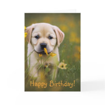 Yellow Labrador Retriever Birthday Card