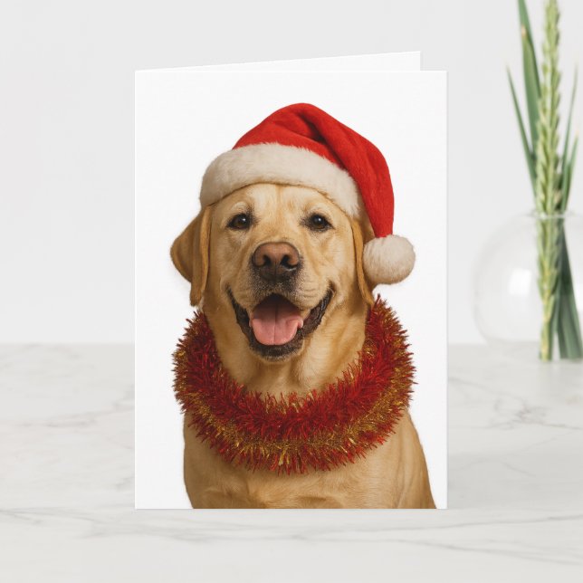 Yellow Labrador Retriever Christmas card Karte (Vorderseite)