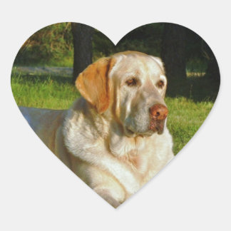 Yellow Labrador Retriever Herz-Aufkleber