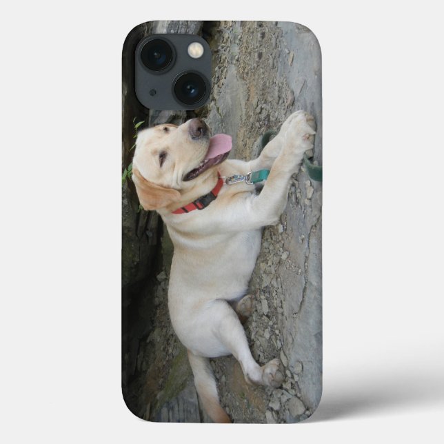 Yellow Labrador Retriever iPhone 8 Coque (Verso)