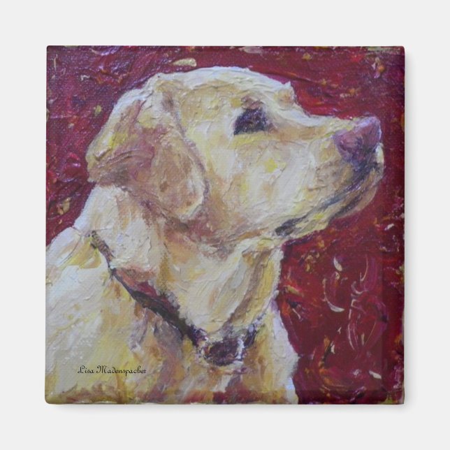 Yellow Labrador Retriever Magnet (Vorne)