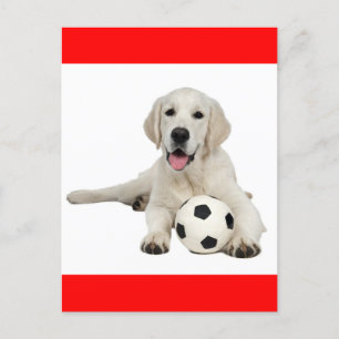Yellow Labrador Retriever Puppy Dog Postcard Postkarte