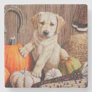 Yellow Labrador Retriever Puppy Doppy Pumpkin Herb Steinuntersetzer
