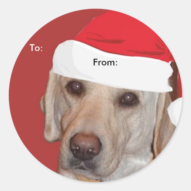 Yellow Labrador Retriever to/From Xmas Aufkleber (Vorderseite)