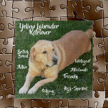 Yellow Labrador Retriever Tracks Game<br><div class="desc">Das schöne Puzzle hat einen gelben Labrador Retriever, einen beliebten Hund in Amerika! Sie Liebe Wasser, holen, laufen und spielen! Einige ihrer Eigenschaften sind ausscheidend, aktiv, liebevoll mit Familie, geistreich und vielem mehr. Der Labrador Retriever ist eine britische Rasse.</div>