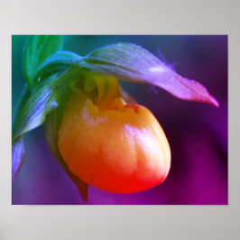 Yellow Lady Slipper Orchid Blume Tinte Poster