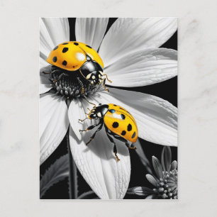Yellow Ladybugs Käfer auf Schwarz-weißer Blume Postkarte