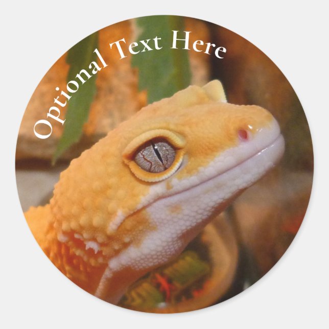 Yellow Leopard Gecko Runder Aufkleber (Vorderseite)