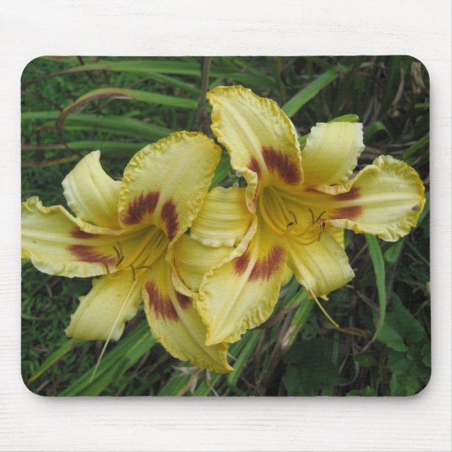 Yellow Lilies Mousepad (Vorne)