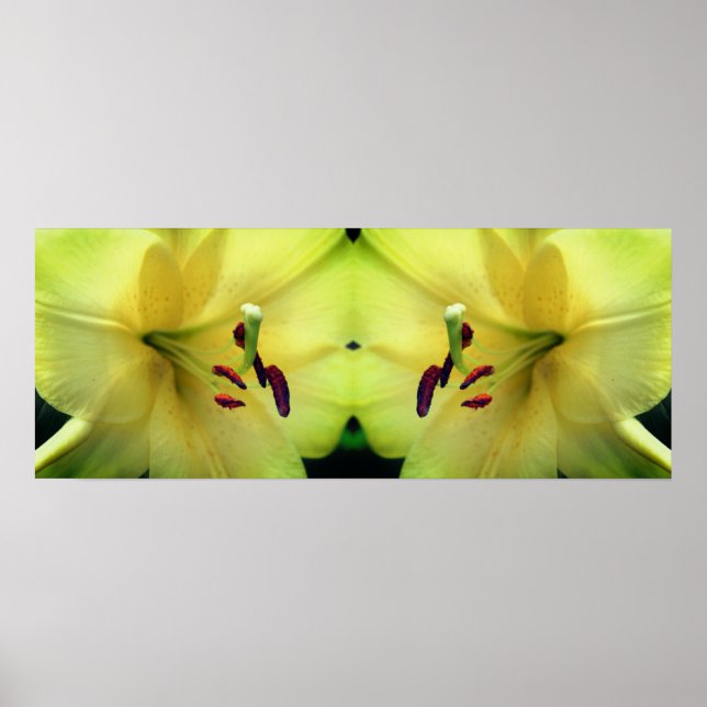 Yellow Lily Blume Petals Mirror Abstrakt Poster (Vorne)