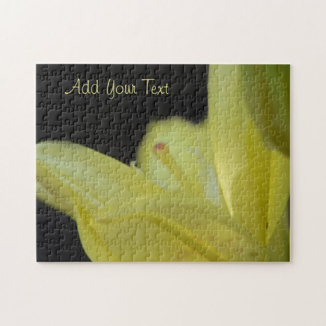 Yellow Lily by Shirley Taylor (Horizontal)