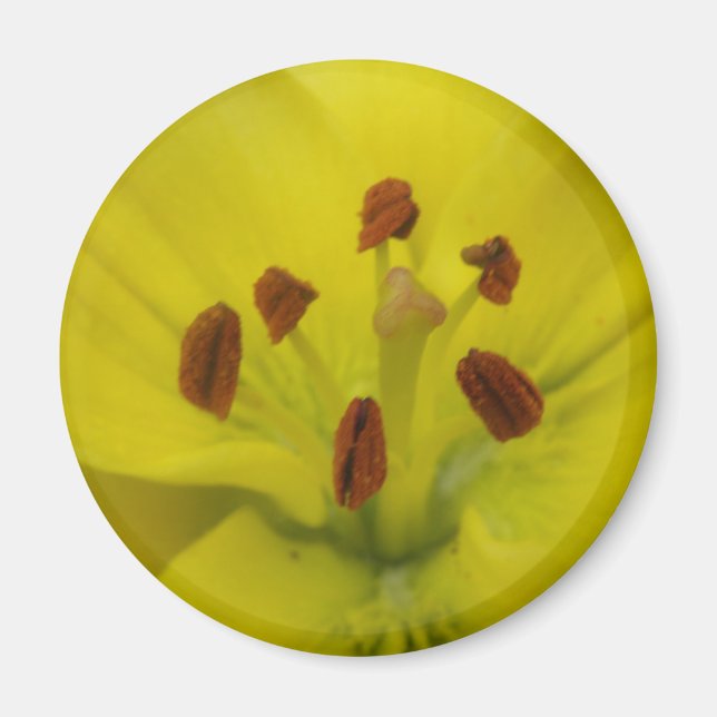 Yellow Lily Floral Magnet (Vorne)
