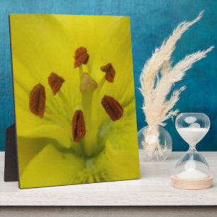 Yellow Lily Floral Plaque Fotoplatte